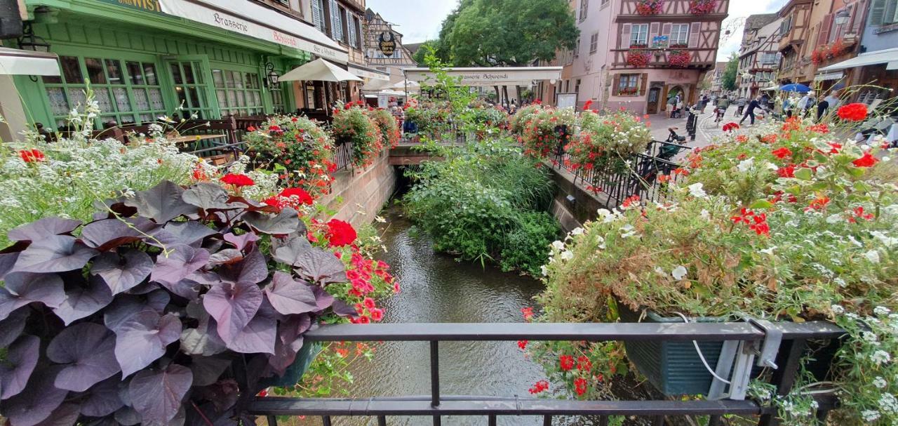 Evasion St Joseph Odysalis - Lit King Size - Parking - Proche Centre Colmar